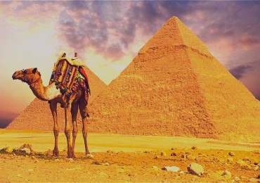 Stopover tour to Giza pyramids, Sakkara and Memphis